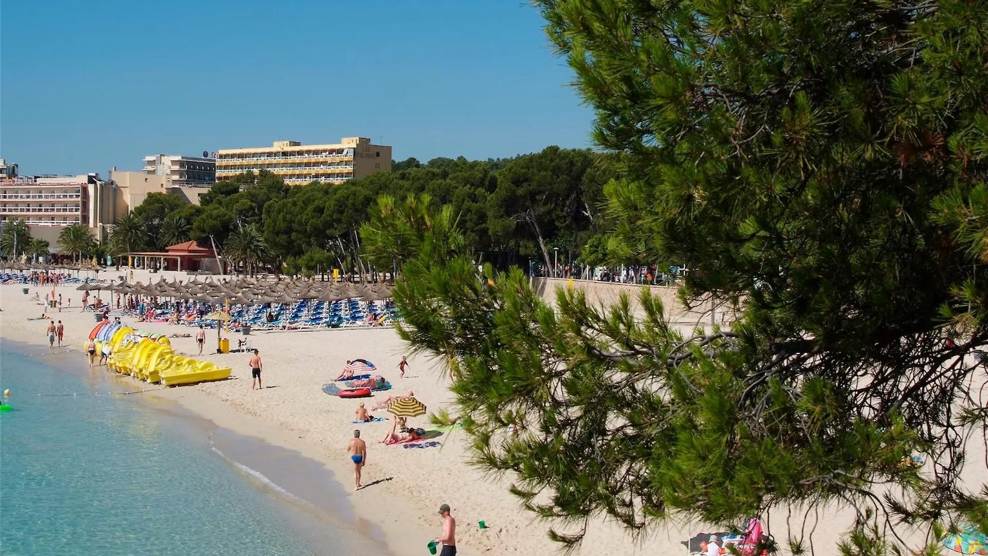 Las Palomas Apartments Econotels Palma Nova  Palma Nova (Mallorca)