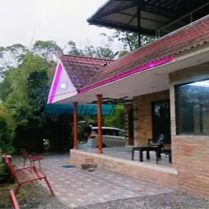 https://butterfly-cottage-vagamon-685503.kerala-hotels.net